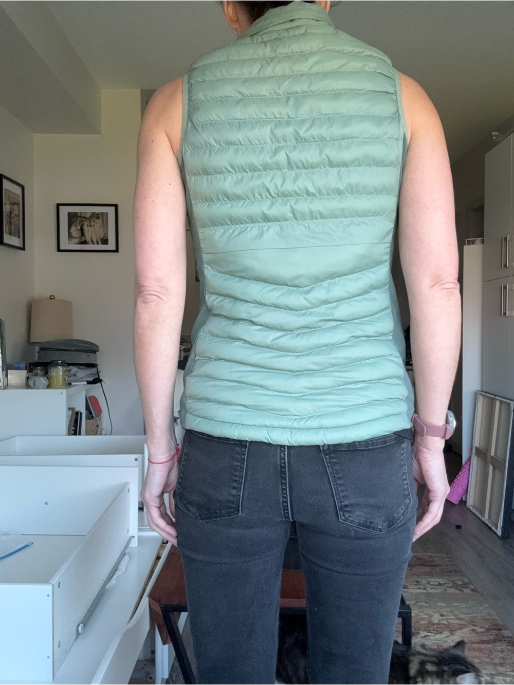 Columbia Sage Green Powder Pass Hybrid Insulated Vest XS - Picture 2 of 7